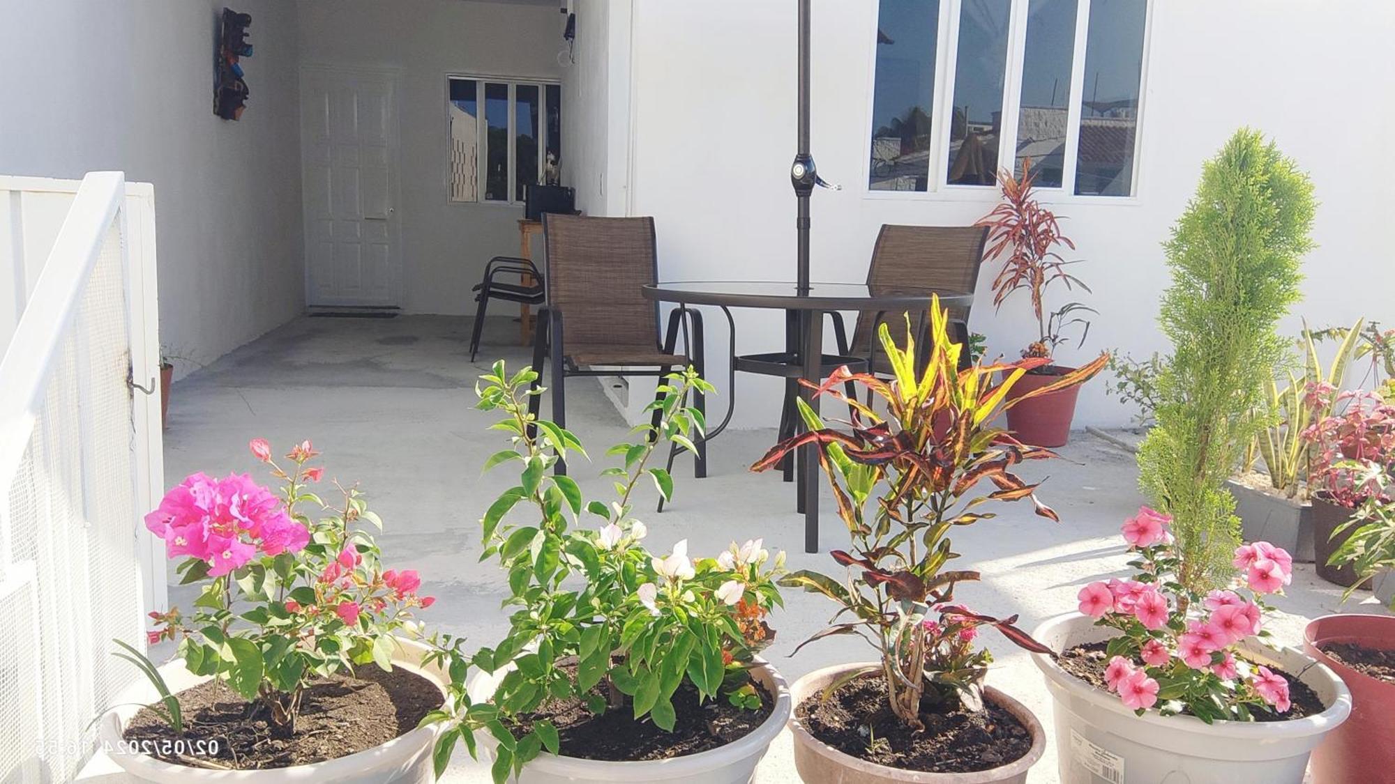 Tierra Maya Hotel Плая дел Кармен Екстериор снимка